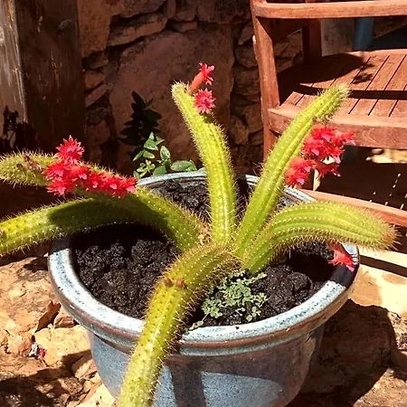 Casa Yeya Деревянный коттедж
